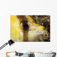 Milletseed Butterflyfish Close-Up Eye Detail Wall Mural