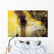 Milletseed Butterflyfish Close-Up Eye Detail Wall Mural
