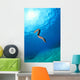 Hawaii, Zebra Moral Eel Swims Midwater With Sunburst Wall Mural