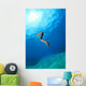 Hawaii, Zebra Moral Eel Swims Midwater With Sunburst Wall Mural