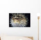 Hawaii, Spiny Puffer Close-Up With Mouth Open, Black Background Wall Mural