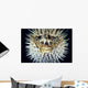 Hawaii, Front View Of Spiny Puffer Close-Up With Black Background Wall Mural