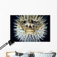 Hawaii, Front View Of Spiny Puffer Close-Up With Black Background Wall Mural