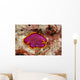 Hawaii, Maui, Close-Up Of Flatworm Top View Wall Mural
