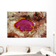 Hawaii, Maui, Close-Up Of Flatworm Top View Wall Mural