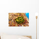 Hawaii, Top View Of Leopard Flatworm, Close-Up Wall Mural