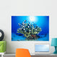 Hawaiian Reef Scene With Antler Coral And Reef Fish, Sunburst Wall Mural