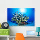 Hawaiian Reef Scene With Antler Coral And Reef Fish, Sunburst Wall Mural