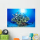 Hawaiian Reef Scene With Antler Coral And Reef Fish, Sunburst Wall Mural