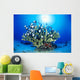Hawaiian Reef Scene With Antler Coral And Reef Fish, Sunburst Wall Mural