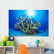 Hawaiian Reef Scene With Antler Coral And Reef Fish, Sunburst Wall Mural