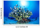Hawaiian Reef Scene With Antler Coral And Reef Fish, Sunburst Wall Mural