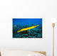 Hawaii, Yellow Trumpetfish With Coral Reef, Turquoise Ocean Wall Mural