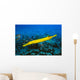 Hawaii, Yellow Trumpetfish With Coral Reef, Turquoise Ocean Wall Mural