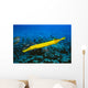Hawaii, Yellow Trumpetfish With Coral Reef, Turquoise Ocean Wall Mural