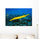Hawaii, Yellow Trumpetfish With Coral Reef, Turquoise Ocean Wall Mural