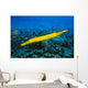 Hawaii, Yellow Trumpetfish With Coral Reef, Turquoise Ocean Wall Mural