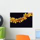 Hawaii, Goby On Wire Coral, Close Up, Black Background, Top View Wall Mural