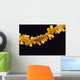 Hawaii, Goby On Wire Coral, Close Up, Black Background, Top View Wall Mural