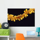 Hawaii, Goby On Wire Coral, Close Up, Black Background, Top View Wall Mural
