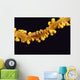 Hawaii, Goby On Wire Coral, Close Up, Black Background, Top View Wall Mural