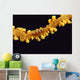 Hawaii, Goby On Wire Coral, Close Up, Black Background, Top View Wall Mural