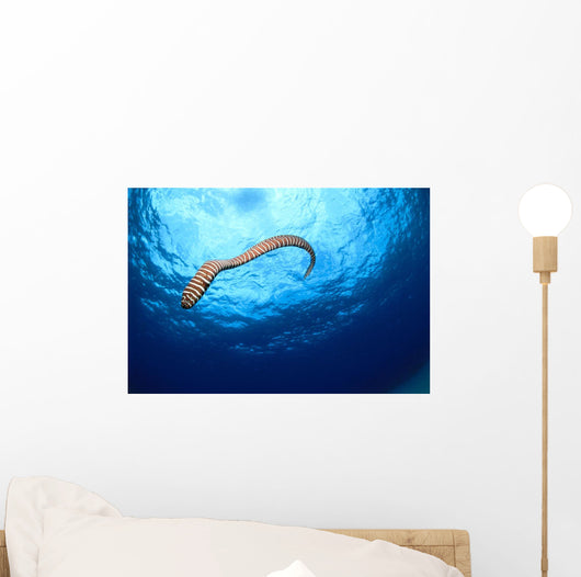Full Body Shot Wall Mural