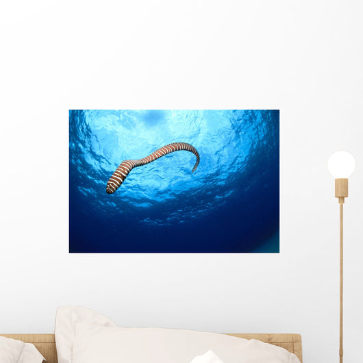 Full Body Shot Wall Mural
