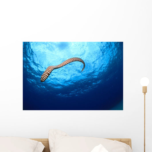Full Body Shot Wall Mural