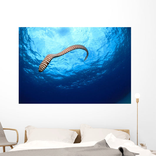 Full Body Shot Wall Mural