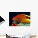 Close-Up Side View Of Blackside Hawkfish Above Reef Wall Mural