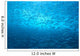 School Of Small Silver Fish, Hundreds In Clear Blue Water Near Surface Wall Mural