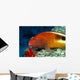Hawaii, Close-Up Side View Of Blackside Hawkfish, Resting On Reef Wall Mural