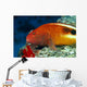 Hawaii, Close-Up Side View Of Blackside Hawkfish, Resting On Reef Wall Mural