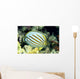 Hawaii, Side Back View Of Orange Striped Ornate Butterflyfish Wall Mural