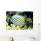 Hawaii, Side Back View Of Orange Striped Ornate Butterflyfish Wall Mural