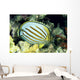 Hawaii, Side Back View Of Orange Striped Ornate Butterflyfish Wall Mural