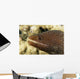 Very Close-Up Image Of The Side Of A Whitemouth Moral Eel's Mouth Wall Mural