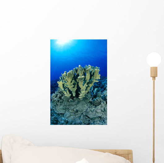 Blue Water Wall Mural