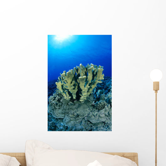 Blue Water Wall Mural