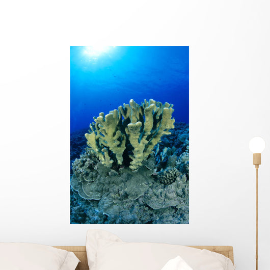 Blue Water Wall Mural