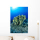Blue Water Wall Mural