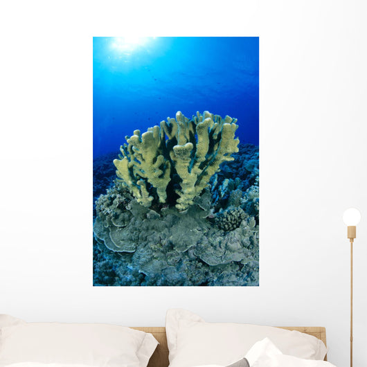 Blue Water Wall Mural