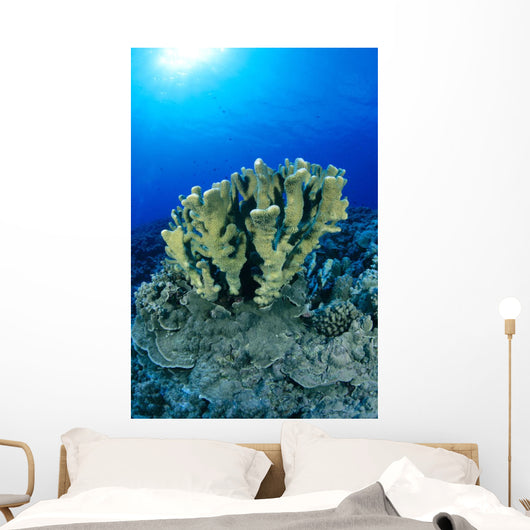 Blue Water Wall Mural