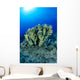 Blue Water Wall Mural