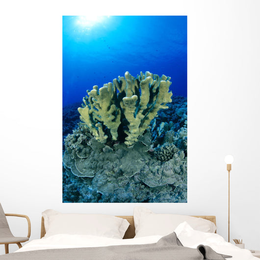 Blue Water Wall Mural