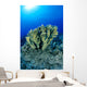 Blue Water Wall Mural