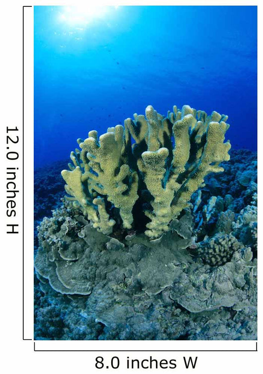 Blue Water Wall Mural