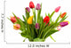 Dutch tulips in glass vase over white background Wall Mural