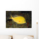 Hawaii, Lanai, Pseudanthias Fuscipinnis Close-Up Side View Wall Mural